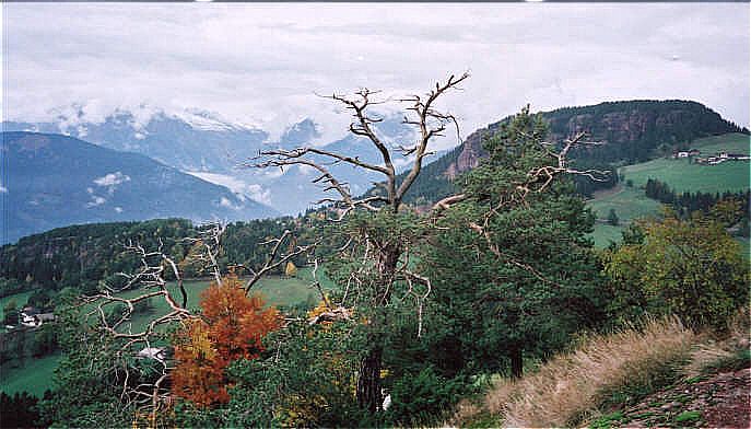 Rotsteinknott vom Beimsteinknott aus (Tisenser Mittelgebirge Italien)